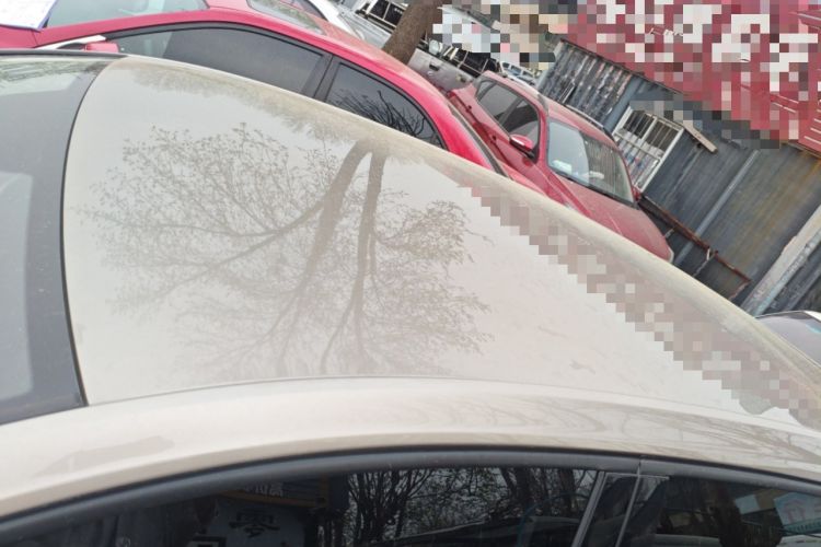 Used Volkswagen Golf 2019 1.6L Automatic Fashion Model China V Standard