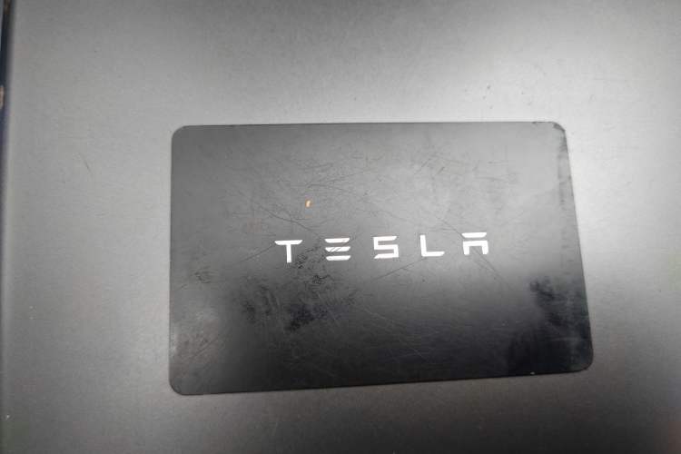 Used Tesla Model Y 2021 Long-Range All-Wheel-Drive Version
