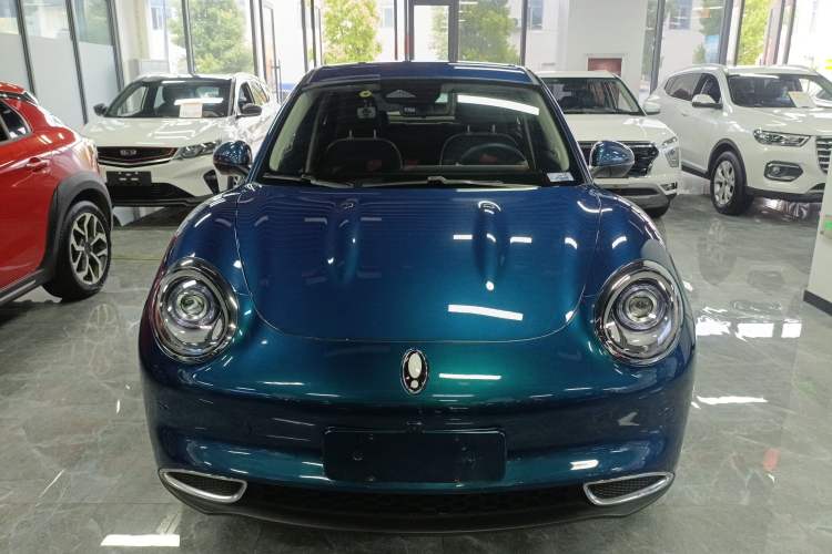 Used ORA Good Cat 2023 401 km Standard Range Luxury Version Ternary Lithium Front