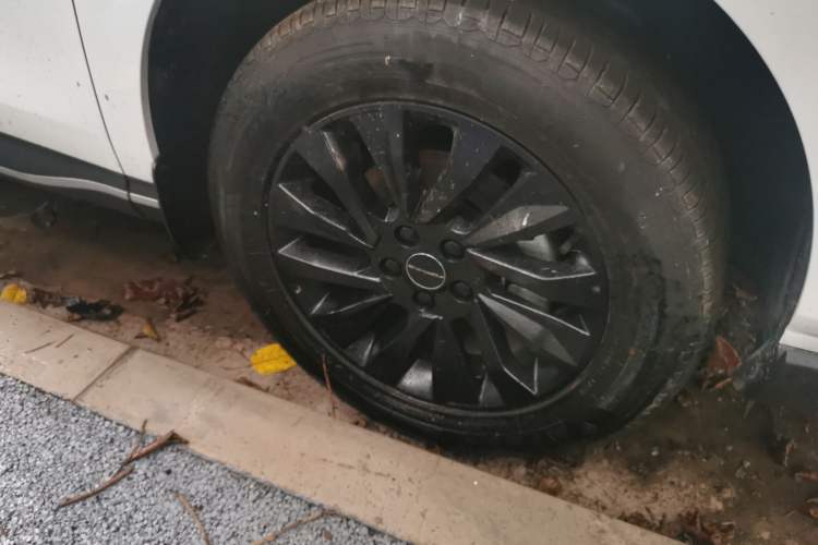 Used FORTHING T5 EVO 2024 1.5TD DCT Starry Edition