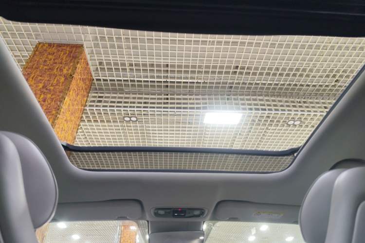 Used Leapmotor C11 2023 Range-Extended 180 Comfort Edition Headliner