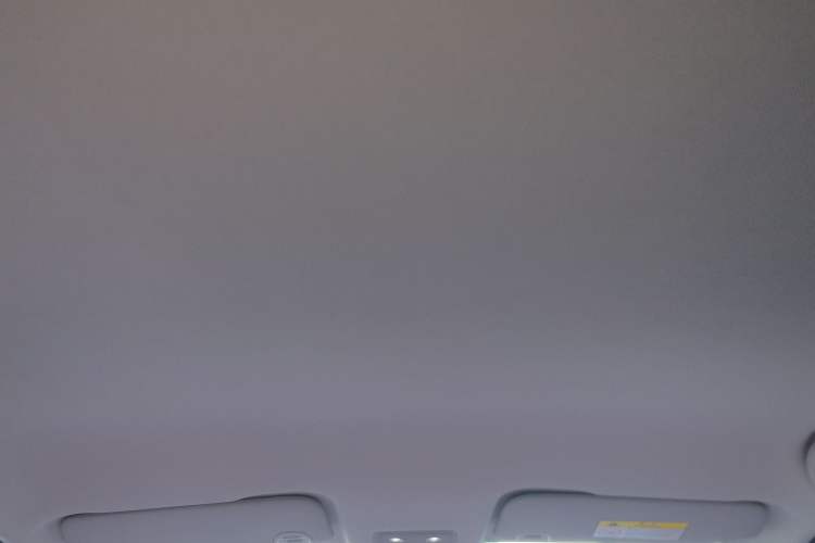 Used NETA V 2021 Witch Edition