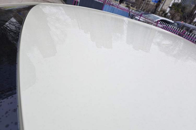 Used BYD Dolphin 2025 420km Free Edition