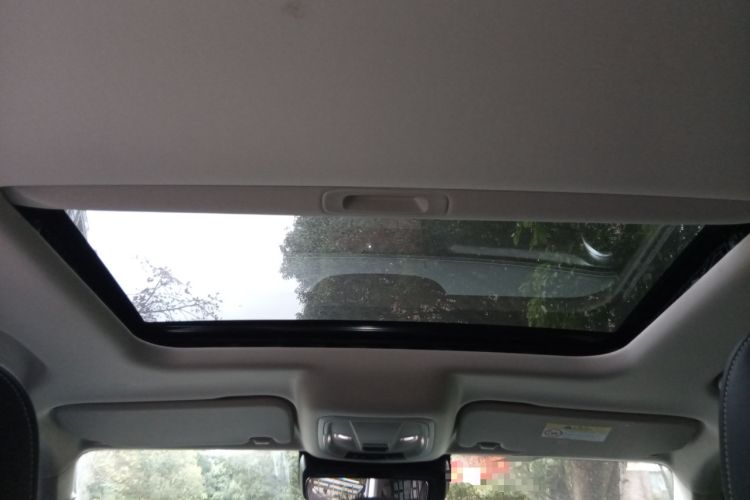 Used Tank 300 2021 Off-Road Edition 2.0T Conqueror Headliner