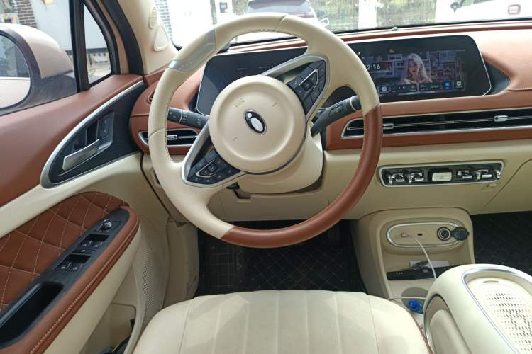 Used ORA Good Cat 2023 401 km Standard Range Luxury Version Lithium Iron Phosphate
