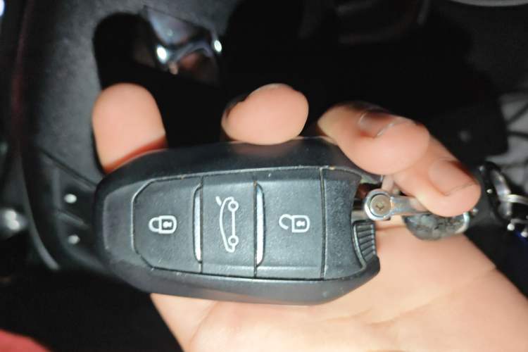 Used DS 5 2014 1.6T Luxury Edition THP160 Vehicle Key