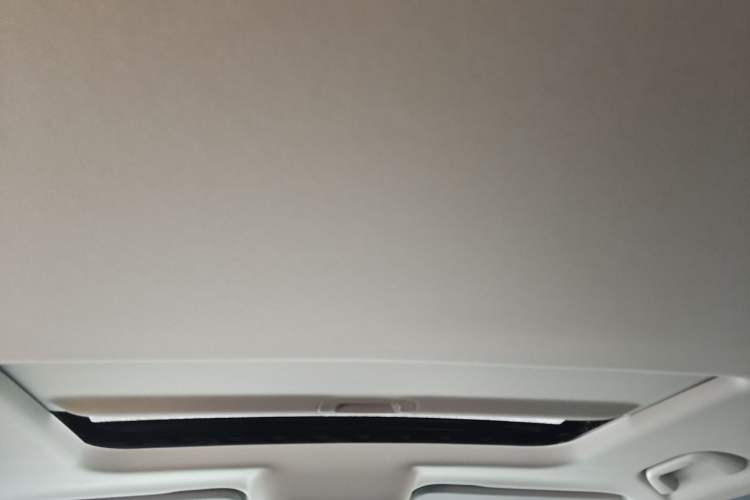 Used Tank 300 2023 City Edition 2.0T My Vision Model