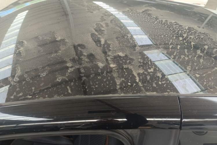 Used Chery QQ Little Ant 2019 4-Seater Smart Edition 35 kWh
