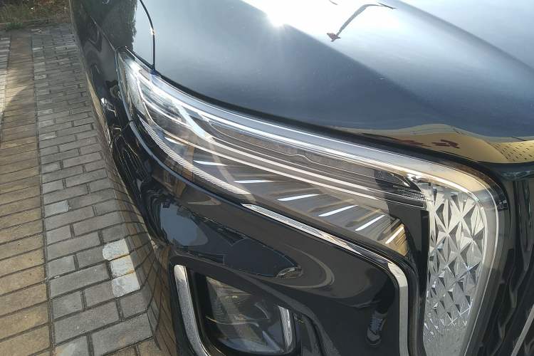 Used Hongqi HQ9 2023 2.0T Smart Connect Flagship Edition Exterior 3