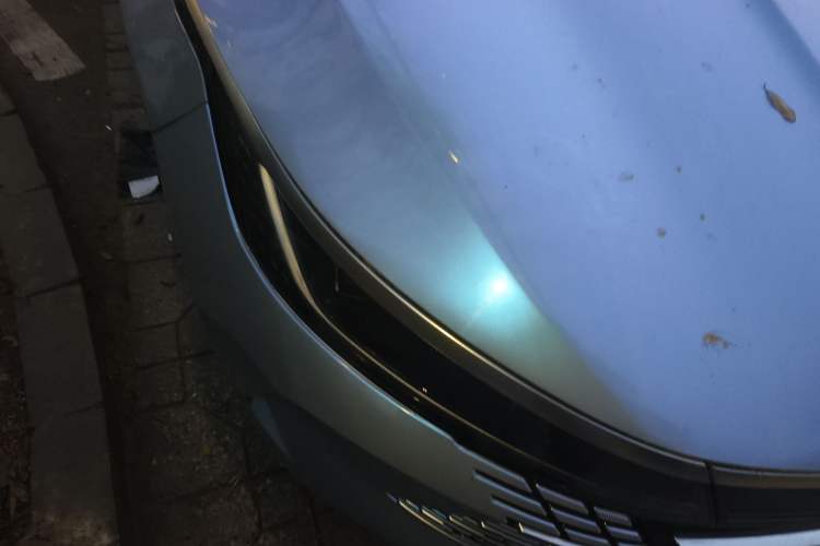 Used BYD Destroyer 05 2023 Champion Edition DM-i 55KM Luxury Model
