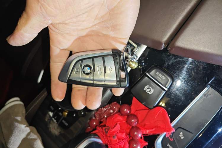 Used BMW 5 Series New Energy 2018 530Le Luxury Package