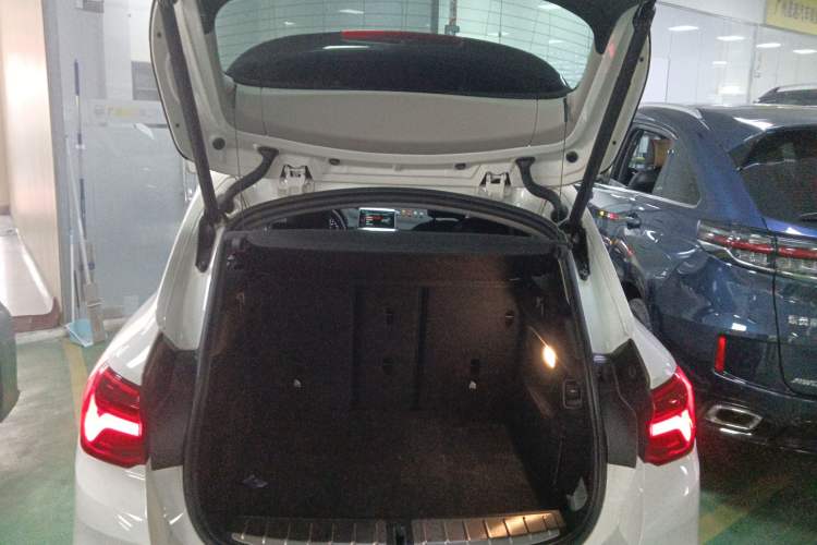 Used BMW X2 2018 sDrive25i Leading Model M Sport Package China V