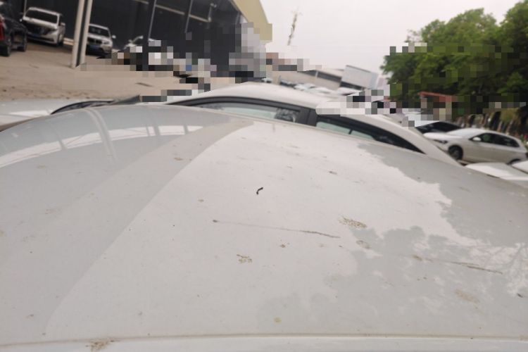 Used Volkswagen Polo 2023 Revised Plus 1.5L Automatic – Enjoy Life Edition