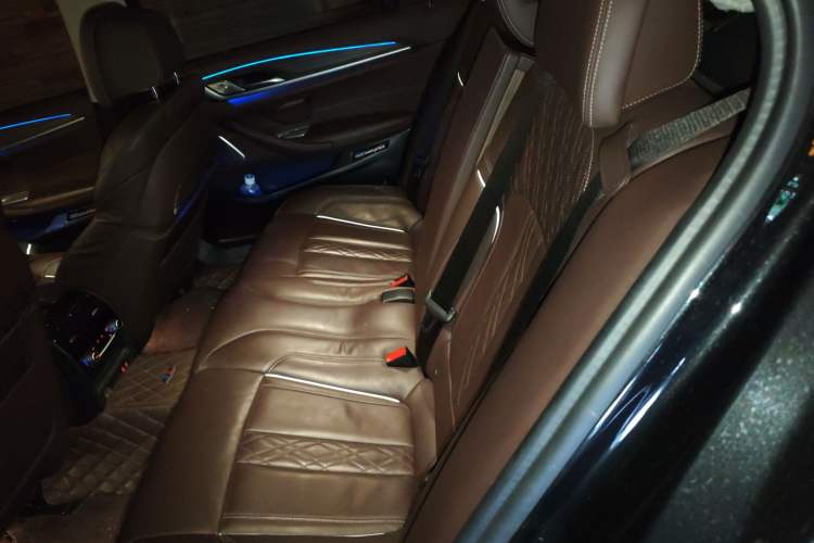 Used BMW 5 Series 2020 530Li Luxury Edition Premium Package