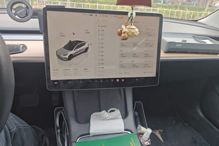 Used Tesla Model 3 2022 Rear-Wheel-Drive Version