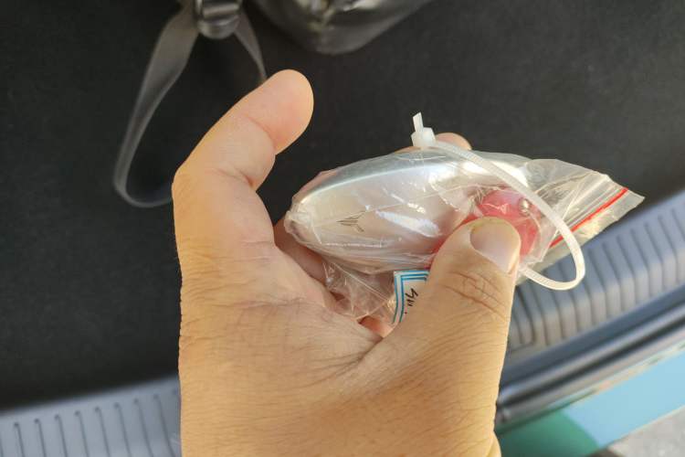 Used VOYAH FREE 2025 318 318 km Rear-Drive Touring Edition
