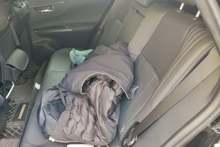 Used Toyota Harrier 2022 Dual-Engine 2.5L CVT Four-Wheel Drive Luxury Edition Left Rear Seat