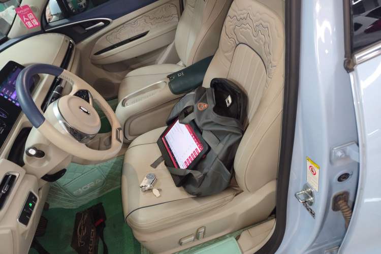 Used ORA Good Cat 2023 401 km Standard Range Luxury Version Lithium Iron Phosphate