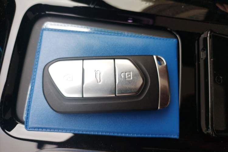 Used VOYAH FREE 2021 Four-Wheel Drive Standard Range-Extended Version
