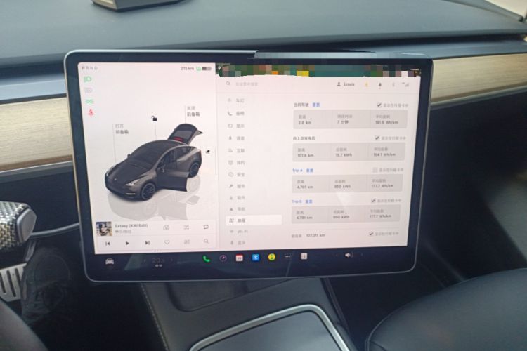 Used Tesla Model Y 2021 Performance High-Performance All-Wheel-Drive Version
