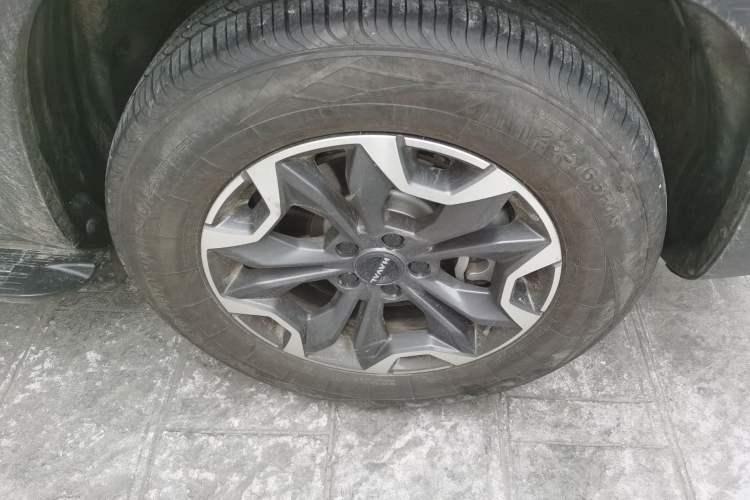 Used Haval DARGO 2024 2.0T DCT Chinese Rural Dog Edition
