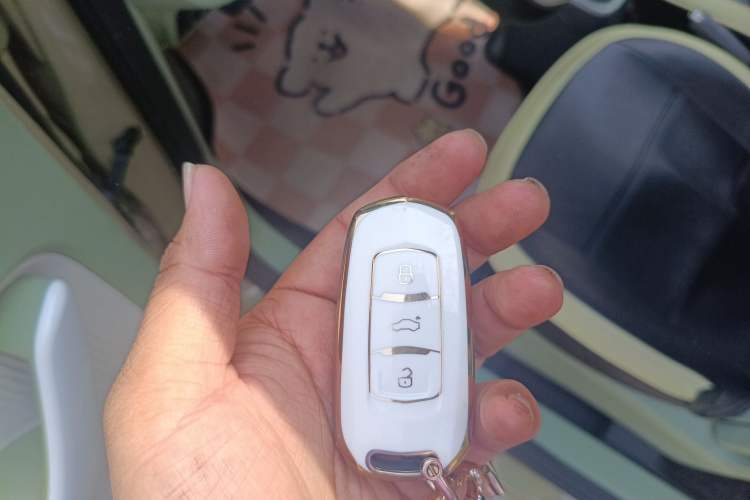 Used Geely Galaxy Panda 2025 210km Panda Rider
