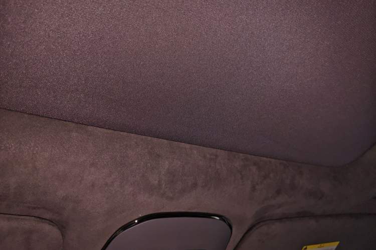 Used Zeekr 009 2022 WE Edition Headliner