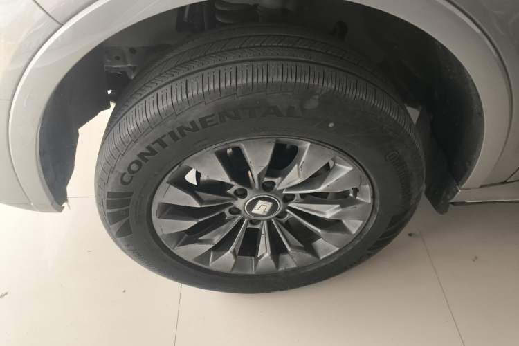 Used Tank 500 2022 3.0T Sport Edition "Creation" Version 5-Seater Exterior 4