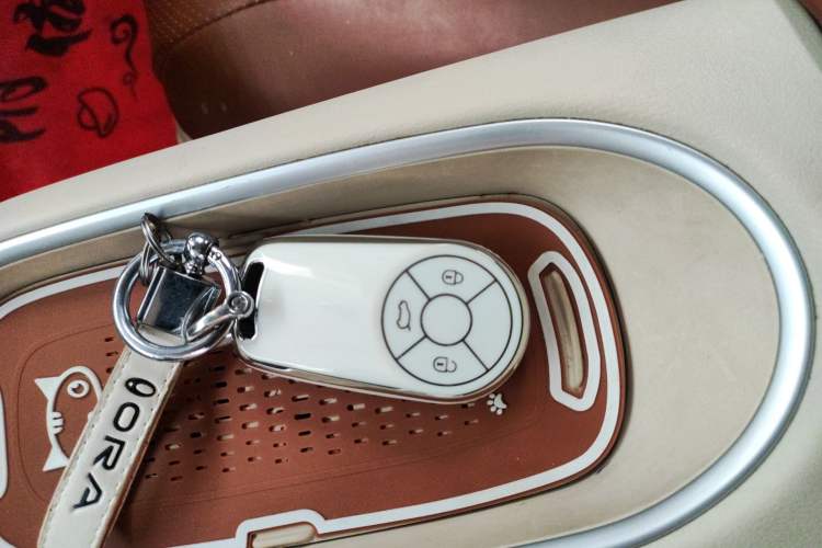 Used ORA Good Cat 2024 401 km Luxury Version