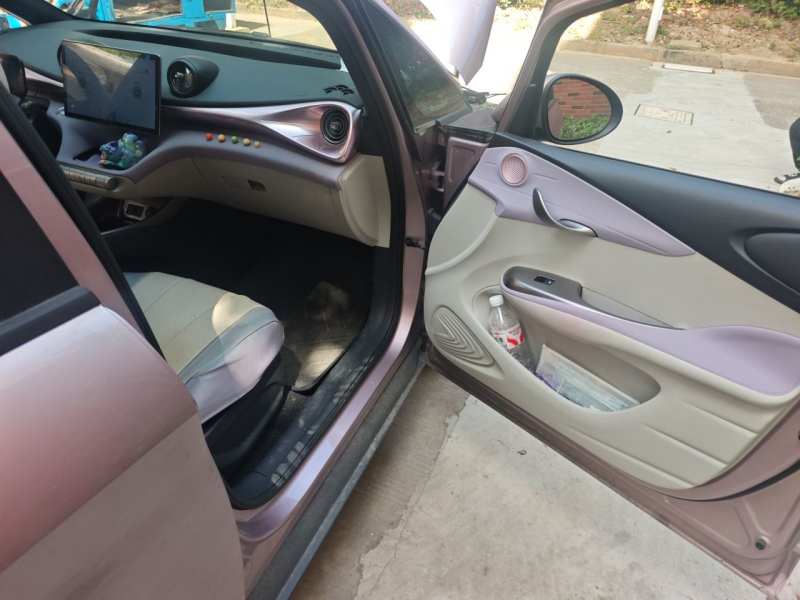 Used BYD Dolphin 2023 420 km Free Version — 24