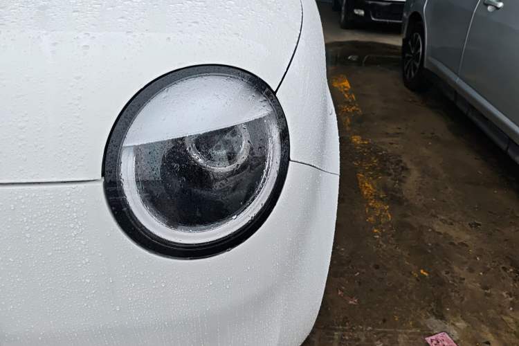 Used Qiyuan Lumin 2023 205km Xiangqin Version