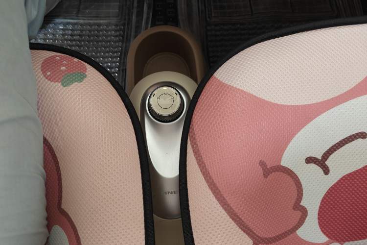 Used Wuling Hongguang MINIEV 2025 Four-Door Version Advanced Edition Gear Lever