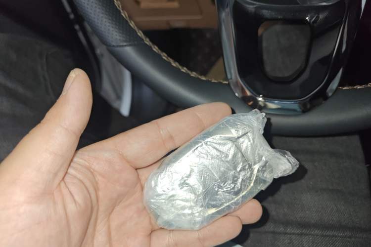 Used GAC Trumpchi ES9 2024 PHEV 143km Pro