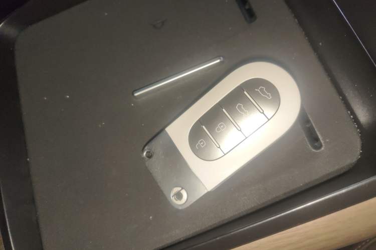 Used smart #5 2024 Ultra-Long Range Extraordinary Journey Luxury Edition