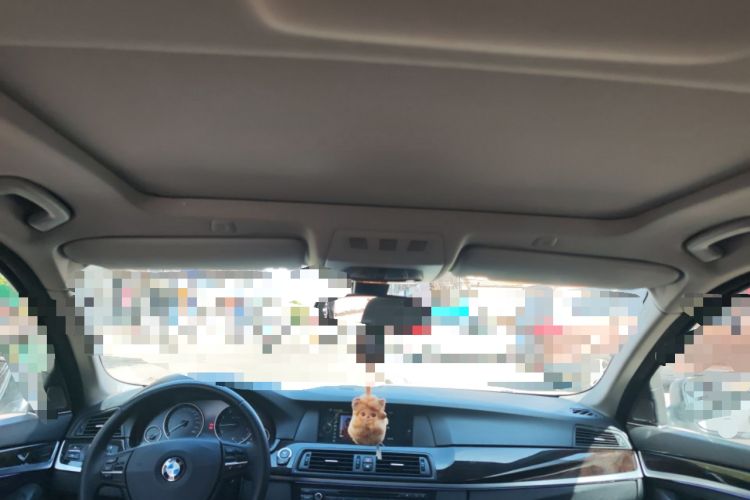 Used BMW 5 Series 2013 525Li Luxury Model Headliner