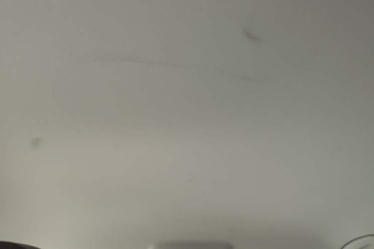 Used Volkswagen Lavida Pure Electric 2019 Low-Trim Version Headliner