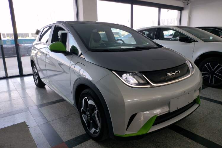Used BYD Dolphin 2021 405 km Free Version
