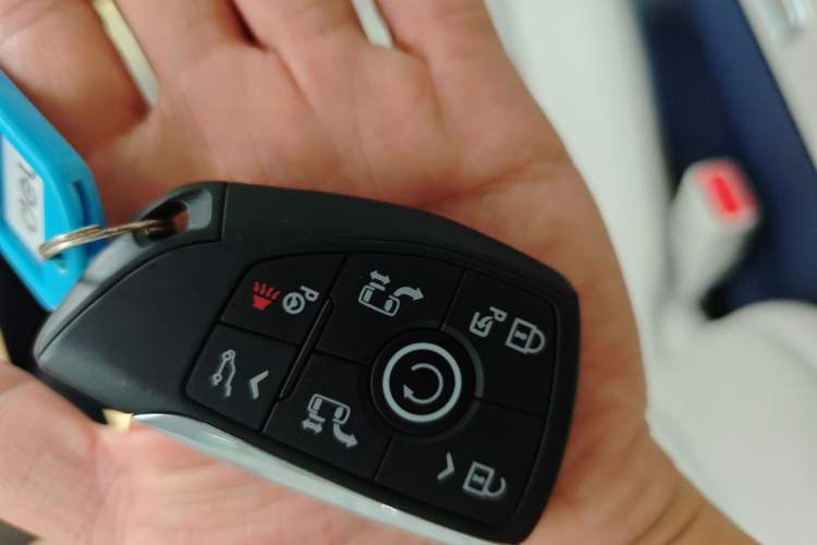 Used Buick GL8 New Energy 2024 Lu Zun Luxury Edition 6-Seater
