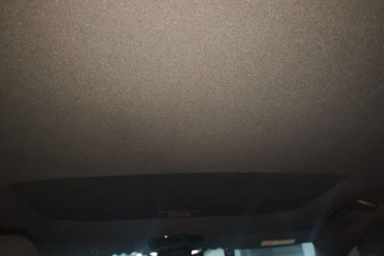 Used Lexus RX 2023 350h Two-Wheel Drive Enjoyment Version Headliner