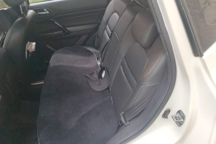 Used GAC Group Qizhi PHEV 2018 1.5L Smart Connect Luxury Edition Left Rear Seat