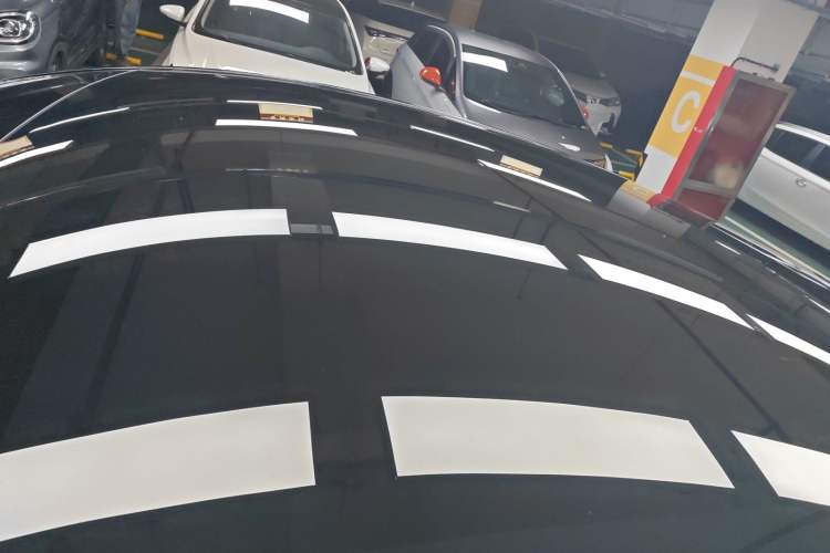 Used Tesla Model Y 2021 Standard Range Rear-Wheel Drive Version Roof