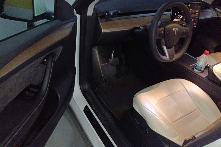 Used Tesla Model Y 2021 Standard Range Rear-Wheel Drive Version
