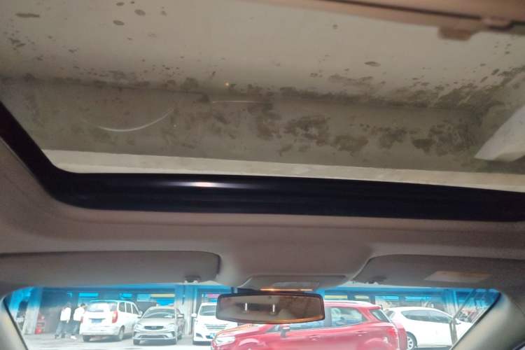 Used Buick GL8 2018 28T Luxury Model China VI Standard Headliner