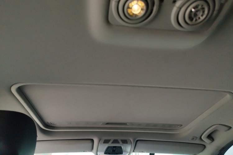 Used BMW 3 Series 2016 320Li Ambition Model Headliner