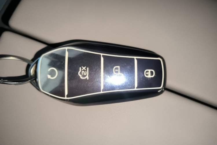 Used BYD Tang New Energy 2025 DM-i 115KM Prestige Model
