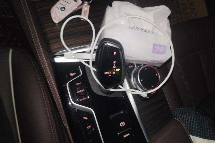 Used BMW 5 Series 2021 530Li Leading Luxury Package