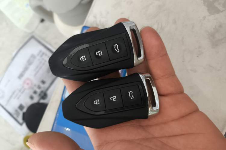 Used Leopaard CS9 2018 1.5T CVT Jingrui Model