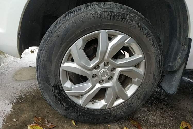 Used Dongfeng Palazzo 2021 1.8T Manual 4x4 Elite Edition Exterior 4