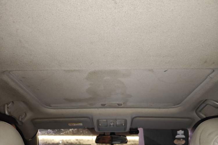 Used Toyota RAV4 2010 2.4L Automatic Deluxe Upgrade Edition Headliner