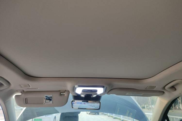 Used Hongqi H9 2020 2.0T Smart Connect Flagship Edition